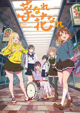 seo材质用于什么